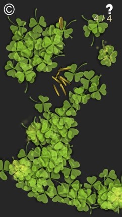 Find My Clover screenshot