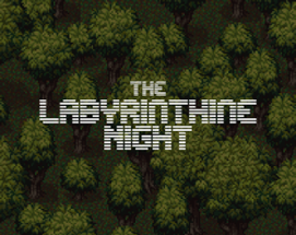 The Labyrinthine Night Image