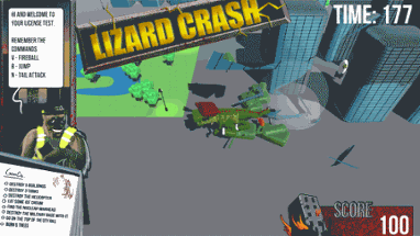 Lizard Crash Image