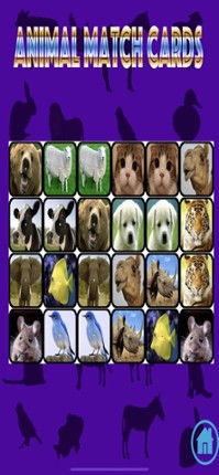Ninu's Animal Match Card Game screenshot