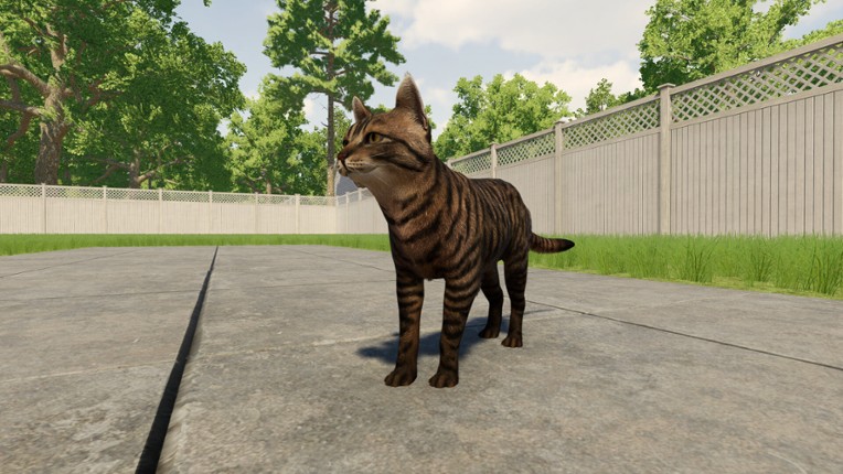 Reign of Cats screenshot