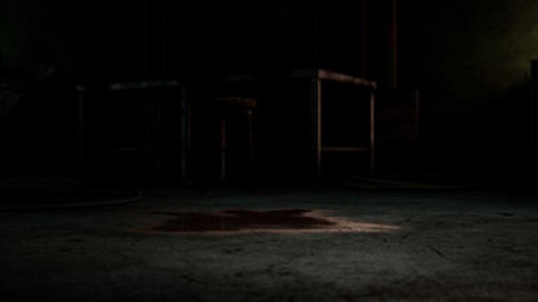 Shadow Play's screenshot