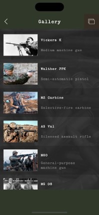 Guess the Modern Firearm screenshot