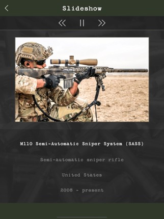 Guess the Modern Firearm screenshot