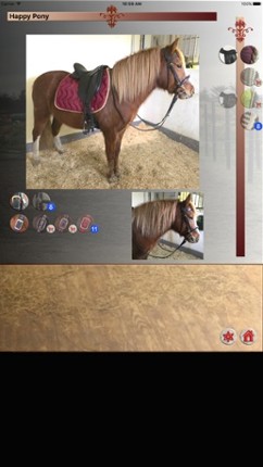 Happy Pony for iPhone by Horse Reader Image
