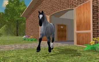 Jumpy Horse Breeding Image