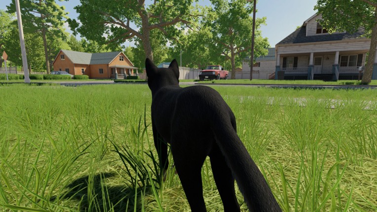Reign of Cats screenshot
