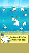 Dolphin Evolution | Idle Tap Mystery Fish Game Image