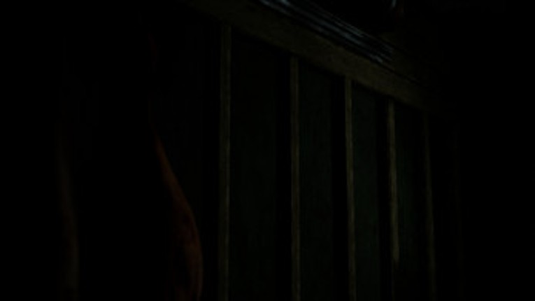 Shadow Play's screenshot
