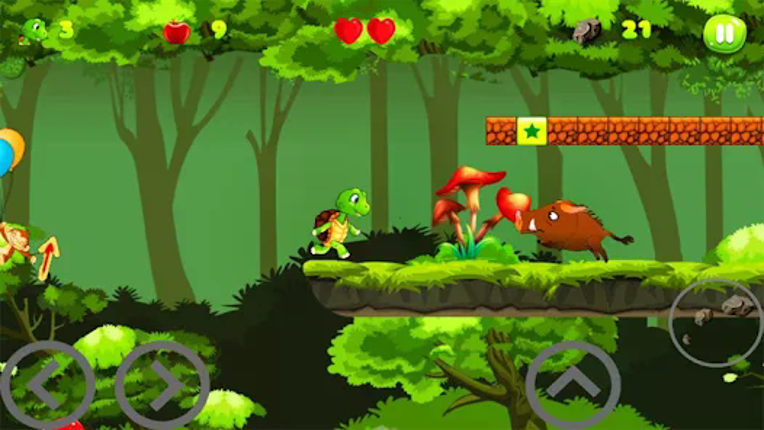 Turtle Adventure World Image