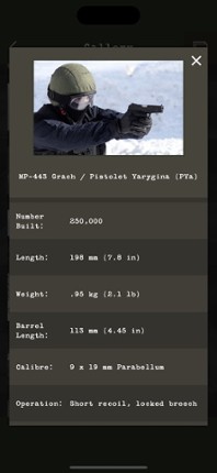 Guess the Modern Firearm screenshot