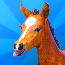 Jumpy Horse Breeding Image