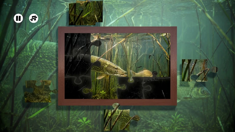 Puzzles: Fish Image