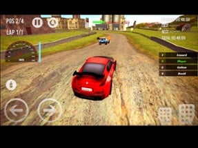 Rally Driver Race Image