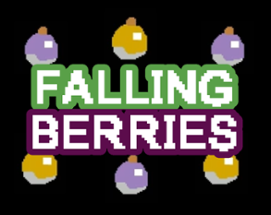 Falling Berries Image