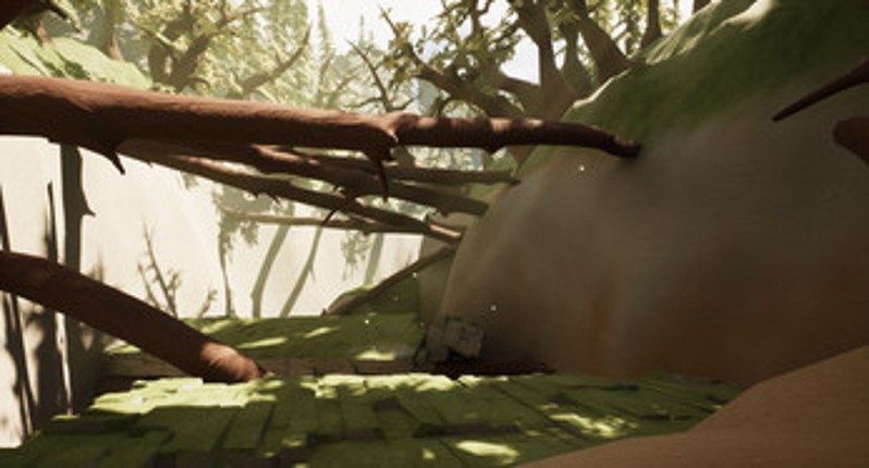 Skyward Nexus Image
