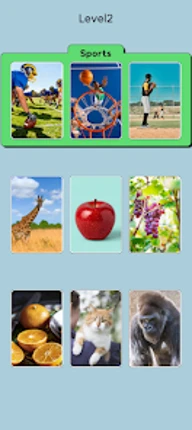 Snap Connect: photo sort Image