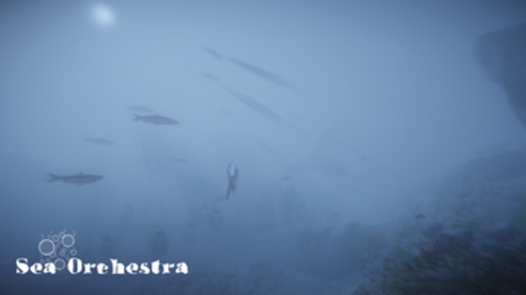 Sea Orchestra Image