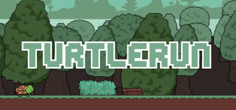 TurtleRun Image