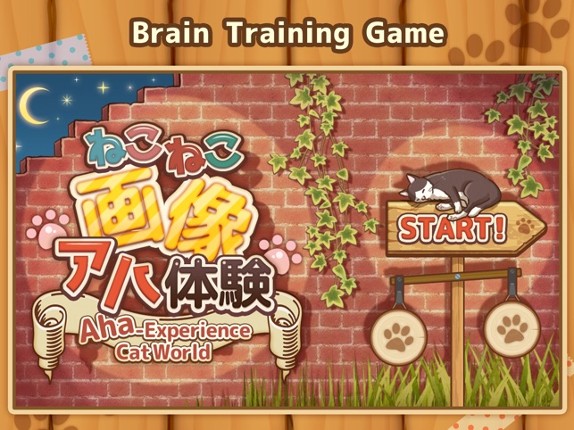 Aha-Experience Cat World Image