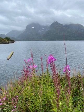 Fragments screenshot