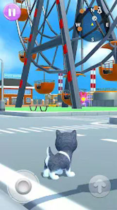 Talking Husky Dog screenshot