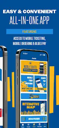 St. Louis Blues Image
