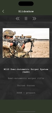 Guess the Modern Firearm screenshot