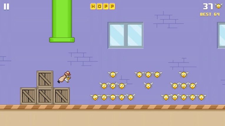 Hoppy Frog 2 - City Escape screenshot