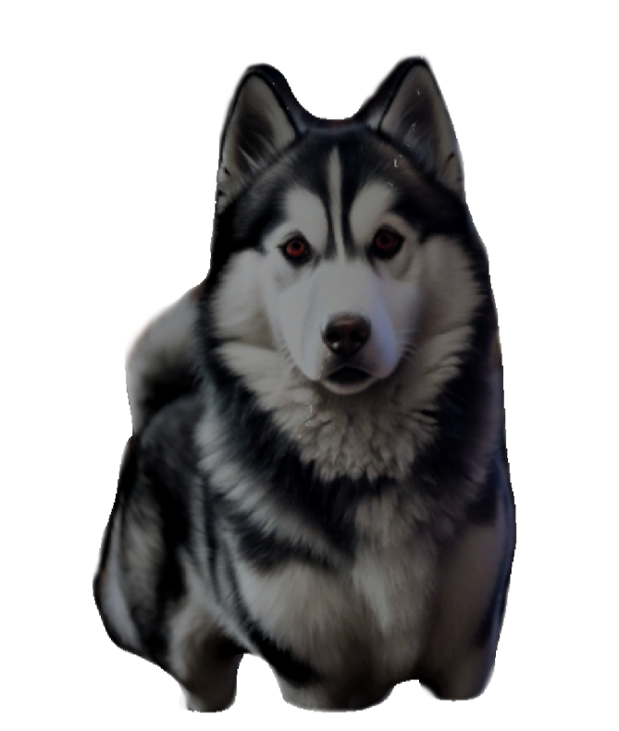 Games like That´s Not My Dog