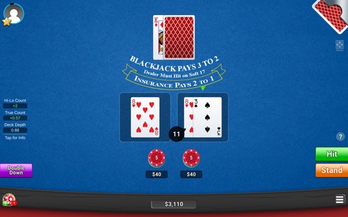Blackjack 21! - Casino Games screenshot