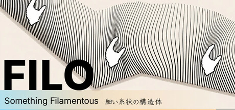 FILO: Something Filamentous Image