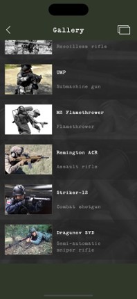 Guess the Modern Firearm Image