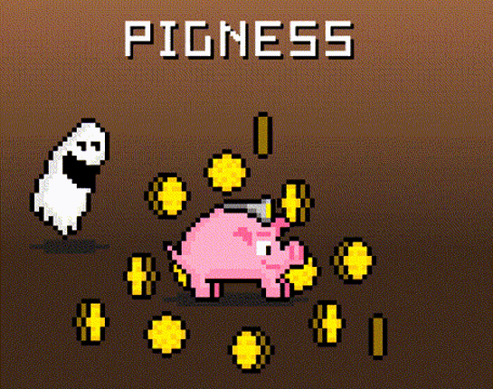 PIGNESS Image