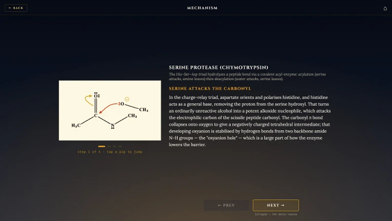 Total Biochem Image
