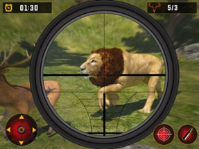 Animal Shooting 2024-Gun Games Image