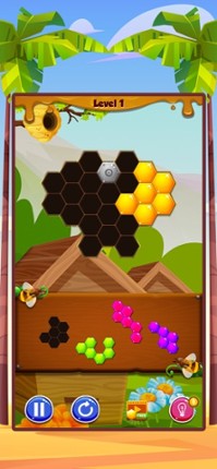 Hexa Hive Puzzle screenshot