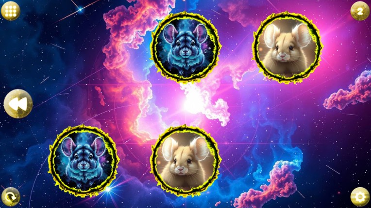 Space Memory: Chinchillas screenshot
