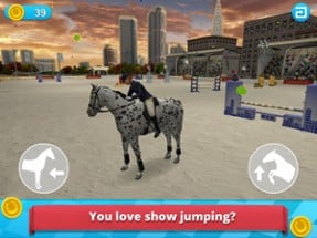 Horse World -  Show Jumping Image