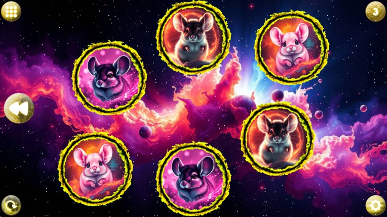 Space Memory: Chinchillas screenshot