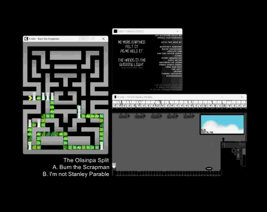 The Olisinpa Split Image