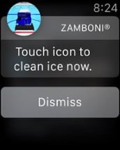 Zamboni® Watch Image