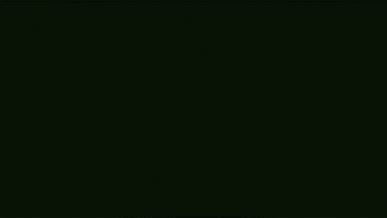 APPLICATION FORM screenshot