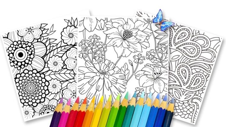 Coloring Secret - updated Image