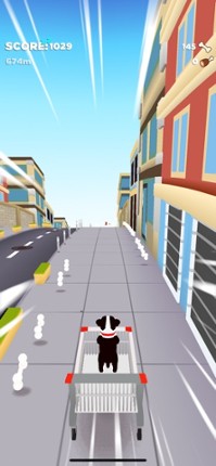 Puppy Run! Image