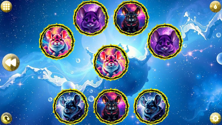 Space Memory: Chinchillas screenshot