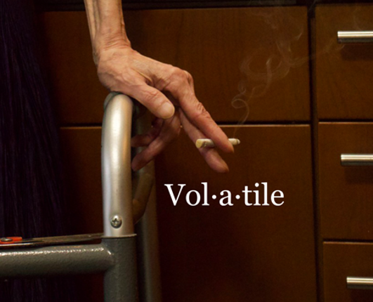 Volatile Image