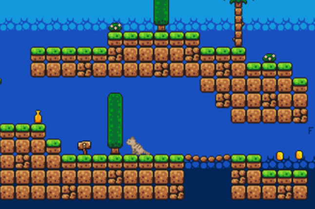 Cat Adventure Image