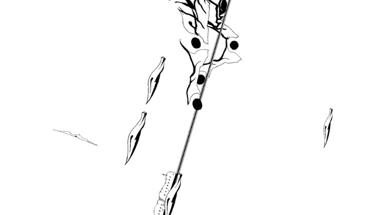 Chasing Light screenshot