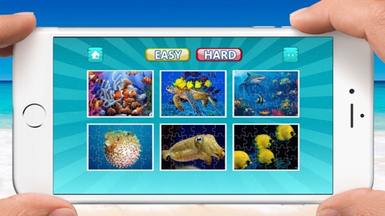 Fish Jigsaw Puzzles Fun, Sea world Puzzle for Kids screenshot
